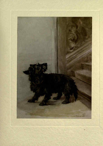 Reproducción/Reproduction 6073911602: The power of the dog London :Hodder and Stoughton,[1910 or 1911.] 
