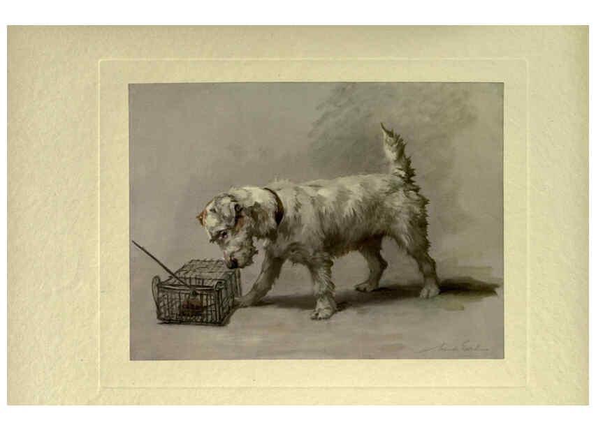 Reproducción/Reproduction 6073371155: The power of the dog London :Hodder and Stoughton,[1910 or 1911.] 
