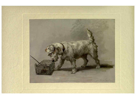 Reproducción/Reproduction 6073371155: The power of the dog London :Hodder and Stoughton,[1910 or 1911.] 