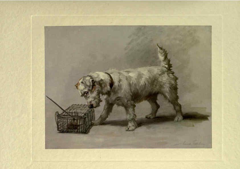 Reproducción/Reproduction 6073371155: The power of the dog London :Hodder and Stoughton,[1910 or 1911.] 