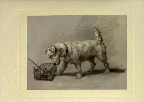 Reproducción/Reproduction 6073371155: The power of the dog London :Hodder and Stoughton,[1910 or 1911.] 
