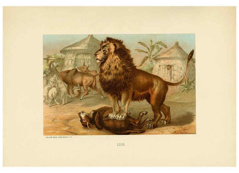 Reproducción/Reproduction 6076439213: Our living world. v.1. New York :S. Hess,[1885] 