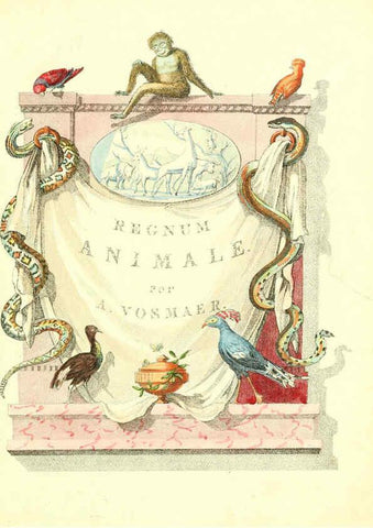 Reproducción/Reproduction 6056159167: Natuurkundige beschryving eener uitmuntende verzameling van zeldsaame gedierten Te Amsterdam :By J.B. Elwe,1804