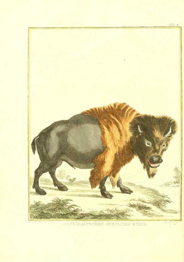 Reproducción/Reproduction 6056711032: Natuurkundige beschryving eener uitmuntende verzameling van zeldsaame gedierten Te Amsterdam :By J.B. Elwe,1804