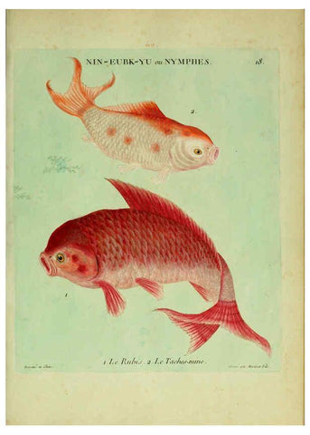 Reproducción/Reproduction 6056338536: Histoire naturelle des dorades de la Chine Paris :[s.n.],1780