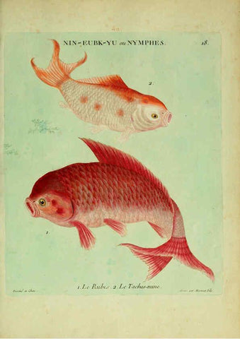 Reproducción/Reproduction 6056338536: Histoire naturelle des dorades de la Chine Paris :[s.n.],1780
