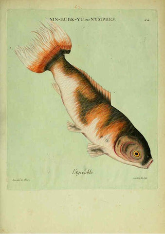 Reproducción/Reproduction 6055793415: Histoire naturelle des dorades de la Chine Paris :[s.n.],1780