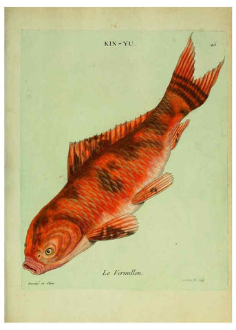 Reproducción/Reproduction 6055793639: Histoire naturelle des dorades de la Chine Paris :[s.n.],1780