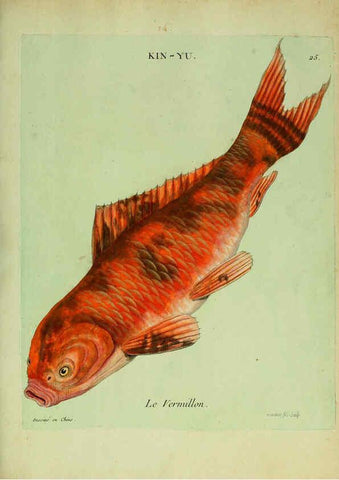 Reproducción/Reproduction 6055793639: Histoire naturelle des dorades de la Chine Paris :[s.n.],1780