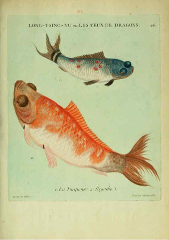 Reproducción/Reproduction 6055793829: Histoire naturelle des dorades de la Chine Paris :[s.n.],1780