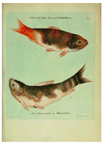 Reproducción/Reproduction 6056340612: Histoire naturelle des dorades de la Chine Paris :[s.n.],1780