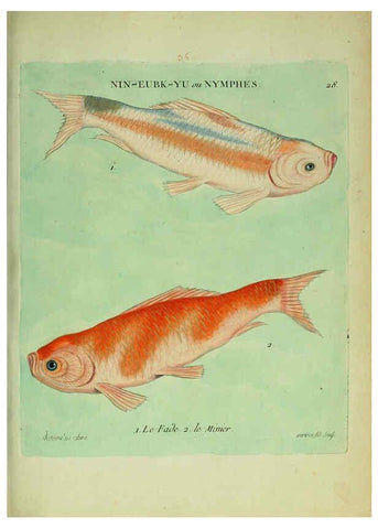 Reproducción/Reproduction 6055795051: Histoire naturelle des dorades de la Chine Paris :[s.n.],1780