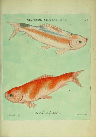 Reproducción/Reproduction 6055795051: Histoire naturelle des dorades de la Chine Paris :[s.n.],1780