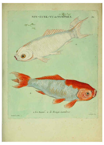 Reproducción/Reproduction 6056342046: Histoire naturelle des dorades de la Chine Paris :[s.n.],1780