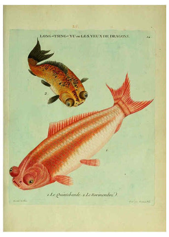 Reproducción/Reproduction 6055791037: Histoire naturelle des dorades de la Chine Paris :[s.n.],1780