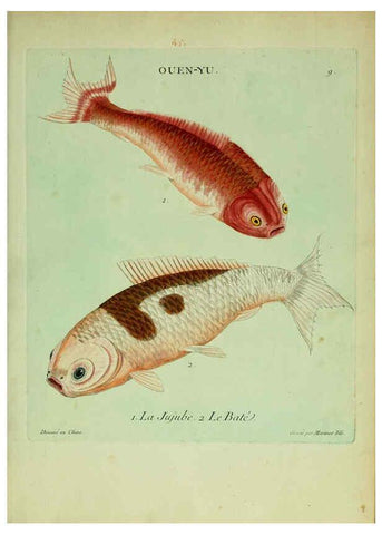 Reproducción/Reproduction 6055789777: Histoire naturelle des dorades de la Chine Paris :[s.n.],1780