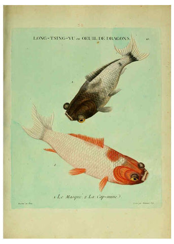 Reproducción/Reproduction 6056336450: Histoire naturelle des dorades de la Chine Paris :[s.n.],1780