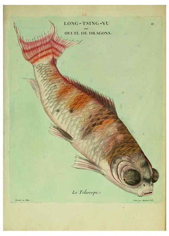 Reproducción/Reproduction 6056336944: Histoire naturelle des dorades de la Chine Paris :[s.n.],1780