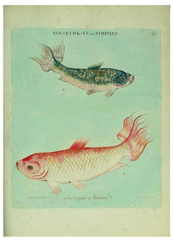 Reproducción/Reproduction 6056342454: Histoire naturelle des dorades de la Chine Paris :[s.n.],1780