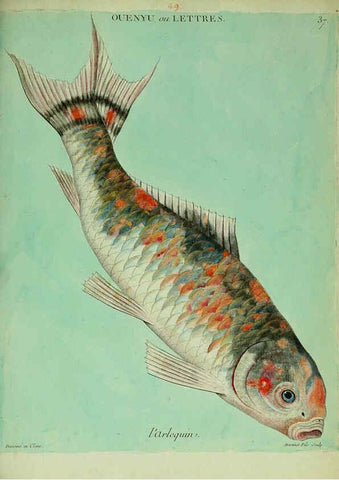Reproducción/Reproduction 6056343786: Histoire naturelle des dorades de la Chine Paris :[s.n.],1780