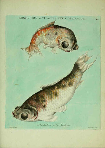 Reproducción/Reproduction 6056344570: Histoire naturelle des dorades de la Chine Paris :[s.n.],1780