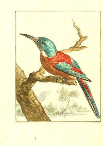 Reproducción/Reproduction 6056715944: Natuurkundige beschryving eener uitmuntende verzameling van zeldsaame gedierten Te Amsterdam :By J.B. Elwe,1804