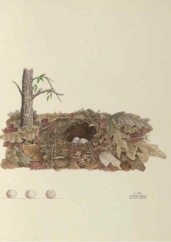 Reproducción/Reproduction 6058948034: Illustrations of the nests and eggs of birds of Ohio. v.2 Circleville, Ohio, U.S.A. :[s.n.],1886 