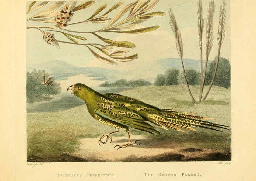 Reproducción/Reproduction 6059032637: Musei Leveriani explicatio, anglica et latina [London] :Impensis Jacobi Parkinson,1792-1796