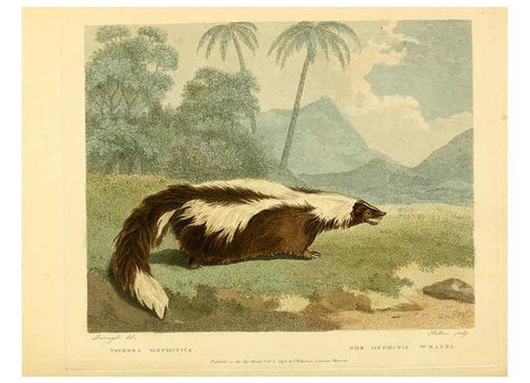 Reproducción/Reproduction 6059030297: Musei Leveriani explicatio, anglica et latina [London] :Impensis Jacobi Parkinson,1792-1796