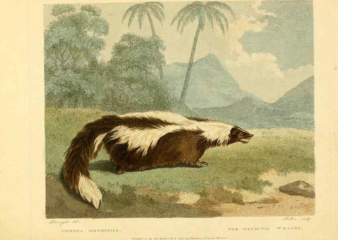 Reproducción/Reproduction 6059030297: Musei Leveriani explicatio, anglica et latina [London] :Impensis Jacobi Parkinson,1792-1796
