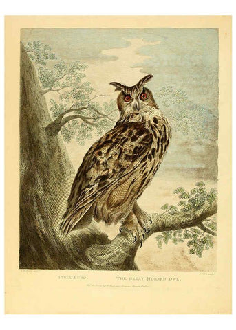 Reproducción/Reproduction 6059574936: Musei Leveriani explicatio, anglica et latina [London] :Impensis Jacobi Parkinson,1792-1796