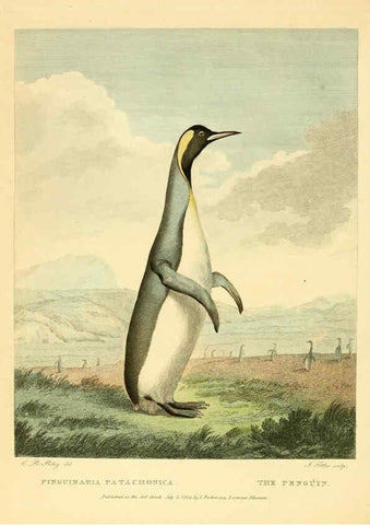 Reproducción/Reproduction 6059576340: Musei Leveriani explicatio, anglica et latina [London] :Impensis Jacobi Parkinson,1792-1796