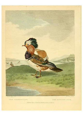 Reproducción/Reproduction 6059025827: Musei Leveriani explicatio, anglica et latina [London] :Impensis Jacobi Parkinson,1792-1796