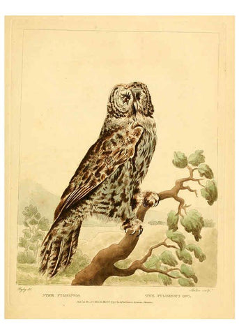 Reproducción/Reproduction 6059584256: Musei Leveriani explicatio, anglica et latina [London] :Impensis Jacobi Parkinson,1792-1796