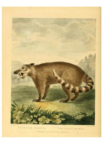 Reproducción/Reproduction 6059584500: Musei Leveriani explicatio, anglica et latina [London] :Impensis Jacobi Parkinson,1792-1796