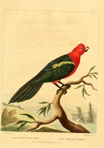 Reproducción/Reproduction 6059584738: Musei Leveriani explicatio, anglica et latina [London] :Impensis Jacobi Parkinson,1792-1796