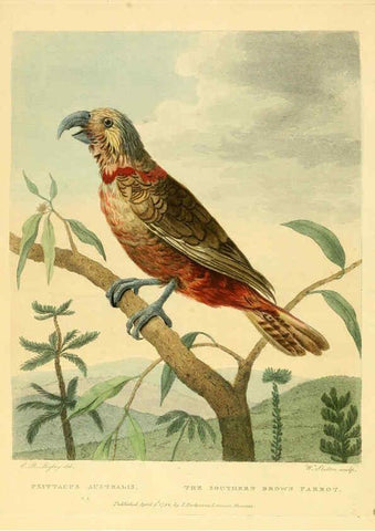 Reproducción/Reproduction 6059025631: Musei Leveriani explicatio, anglica et latina [London] :Impensis Jacobi Parkinson,1792-1796