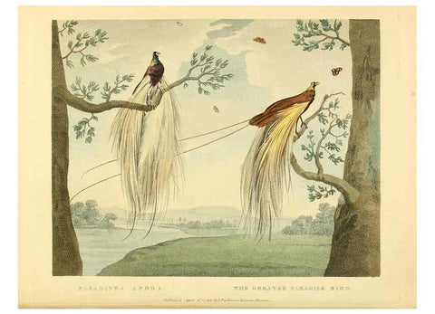 Reproducción/Reproduction 6059025441: Musei Leveriani explicatio, anglica et latina [London] :Impensis Jacobi Parkinson,1792-1796