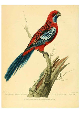 Reproducción/Reproduction 6059570062: Musei Leveriani explicatio, anglica et latina [London] :Impensis Jacobi Parkinson,1792-1796