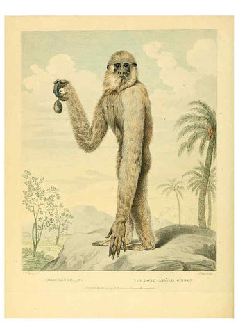 Reproducción/Reproduction 6059571634: Musei Leveriani explicatio, anglica et latina [London] :Impensis Jacobi Parkinson,1792-1796
