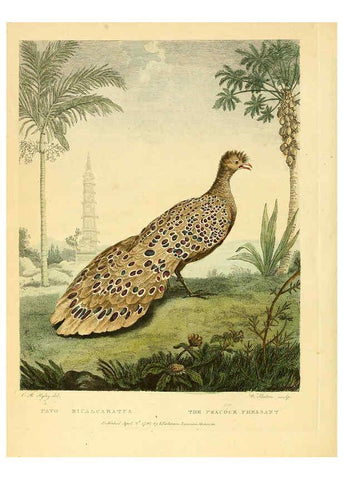 Reproducción/Reproduction 6059024959: Musei Leveriani explicatio, anglica et latina [London] :Impensis Jacobi Parkinson,1792-1796