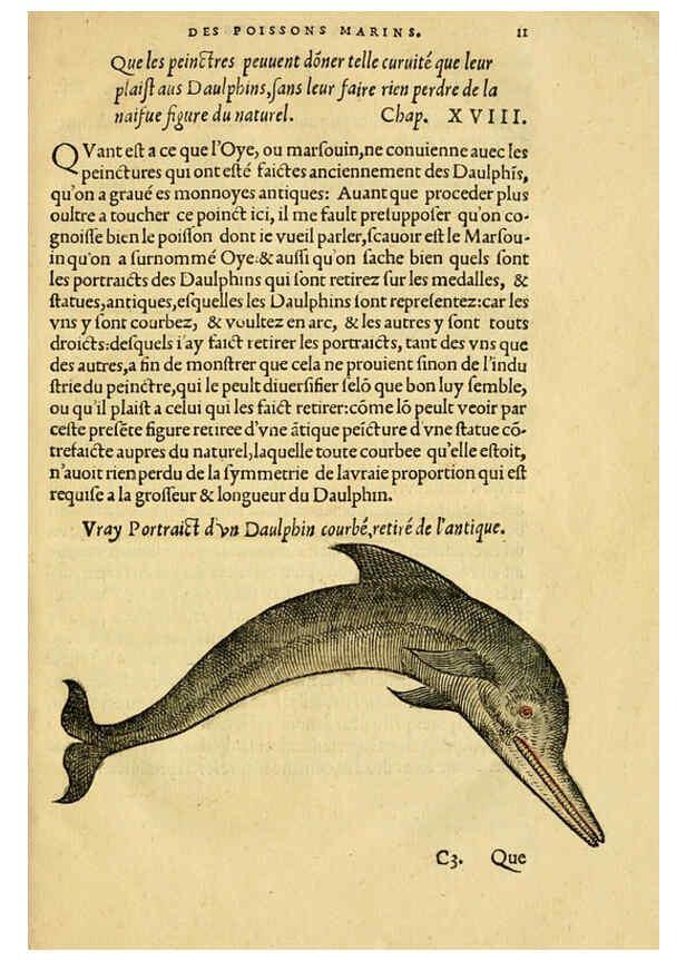 Reproducción/Reproduction 5998936578: L'histoire naturelle des estranges poissons marins A Paris :De l'imprimerie de Regnaud Chaudiere,1551
