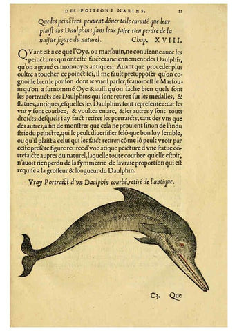 Reproducción/Reproduction 5998936578: L'histoire naturelle des estranges poissons marins A Paris :De l'imprimerie de Regnaud Chaudiere,1551