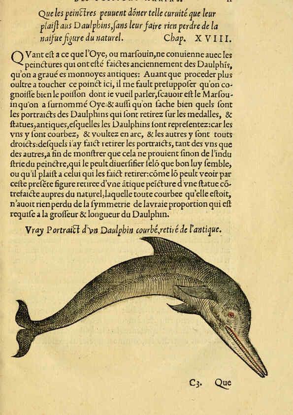 Reproducción/Reproduction 5998936578: L'histoire naturelle des estranges poissons marins A Paris :De l'imprimerie de Regnaud Chaudiere,1551