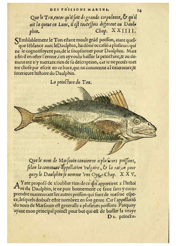 Reproducción/Reproduction 5998937590: L'histoire naturelle des estranges poissons marins A Paris :De l'imprimerie de Regnaud Chaudiere,1551