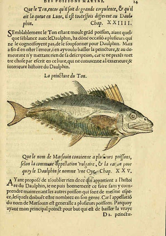 Reproducción/Reproduction 5998937590: L'histoire naturelle des estranges poissons marins A Paris :De l'imprimerie de Regnaud Chaudiere,1551