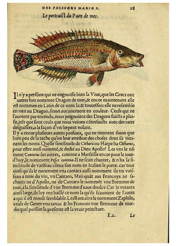 Reproducción/Reproduction 5998937970: L'histoire naturelle des estranges poissons marins A Paris :De l'imprimerie de Regnaud Chaudiere,1551
