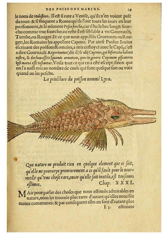 Reproducción/Reproduction 5998938598: L'histoire naturelle des estranges poissons marins A Paris :De l'imprimerie de Regnaud Chaudiere,1551