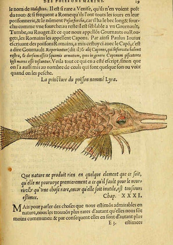 Reproducción/Reproduction 5998938598: L'histoire naturelle des estranges poissons marins A Paris :De l'imprimerie de Regnaud Chaudiere,1551