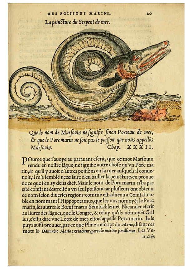 Reproducción/Reproduction 5998390933: L'histoire naturelle des estranges poissons marins A Paris :De l'imprimerie de Regnaud Chaudiere,1551